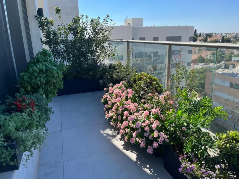 מרפסת מעוצבת דקורטיבית