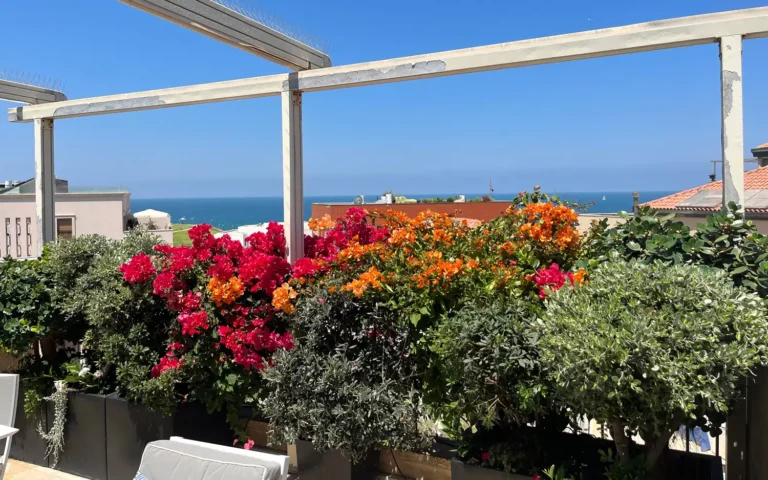 מרפסת מעוצבת דקורטיבית עם הרבה צמחייה ירוקה וססגונית